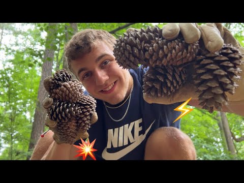 ASMR 💥 Most ever fast and aggressive