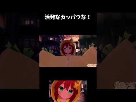 カッパつな☔