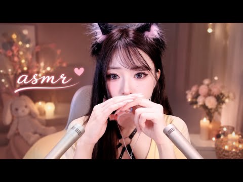 【LIVEアーカイブ】💤 Soft Talking Night 🌙 疲れた心に寄り添うおやすみ前の雑談 #ASMR #雑談 #癒し 2026-06-20 16:16:57