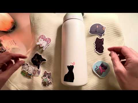 Putting Cat Stickers on a Water Bottle and Chat - ASMR Soft Spoken