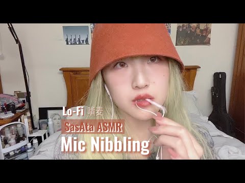 SasAta ASMR | Lo-Fi Mic Nibbling ,up and close (No Talking)