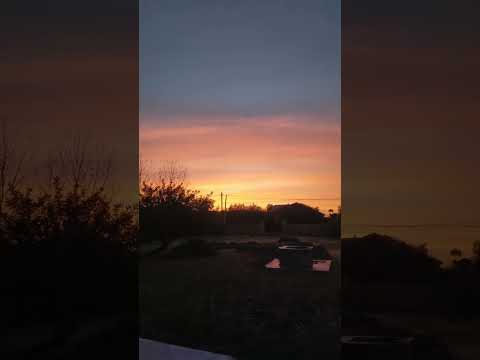 Dawn Chorus: Serene Birds Singing at Sunrise ASMR