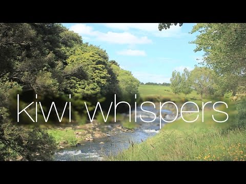 ASMR Outside Ride in Nature - (Whispered) | KiwiWhispers
