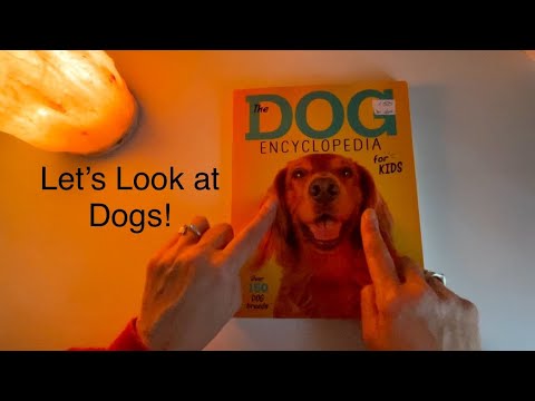 Cute Dogs? Yes, Please! Flip Through Dog Encyclopedia Book and Look at Pictures ~ ASMR Soft Spoken