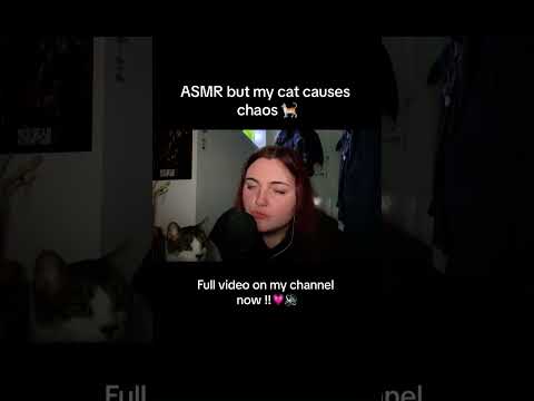 what happens when u try to film an ASMR video but u have a cat😭 #asmr #cat #chaos #sleep #funny