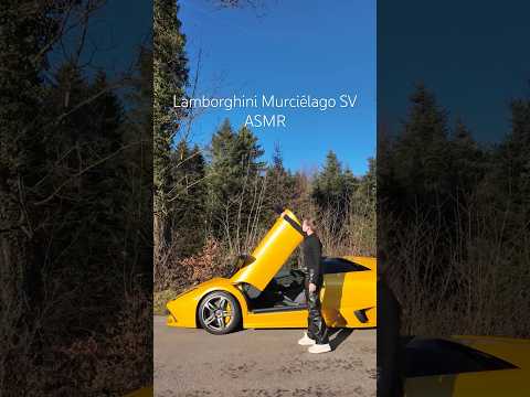 Lamborghini Murciélago SV ASMR 💨@superstratosenterprise on IG #lamborghini#murcielagosv#carasmr#v12