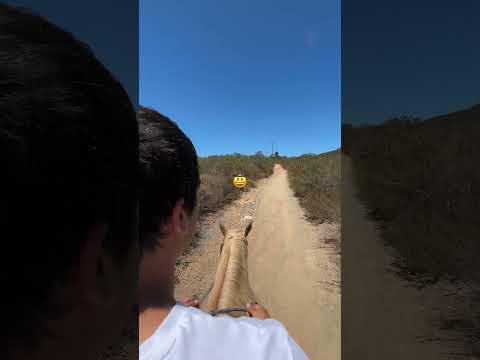 Trail Riding ASMR 🐎🤠 #asmr #lofiasmr