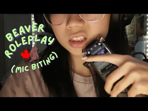 asmr | beaver roleplay (mainly mic biting, teeth grinding, wooden spoon and chopsticks)