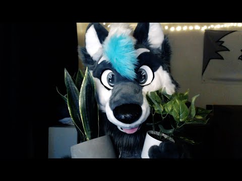 Sleepy Wolf Showing Off His Plants [FURRY ASMR]