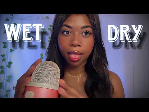 ASMR Fast & Aggressive Mouth Sounds Wet vs. Dry (1 Hour)