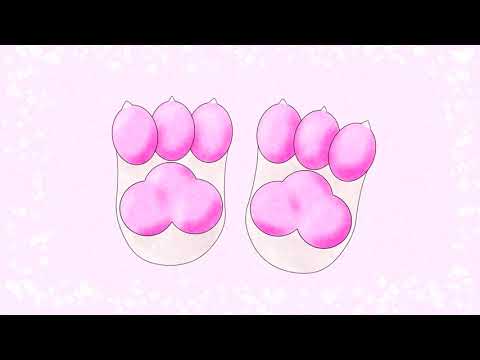 Asriel Soft Paws ASMR