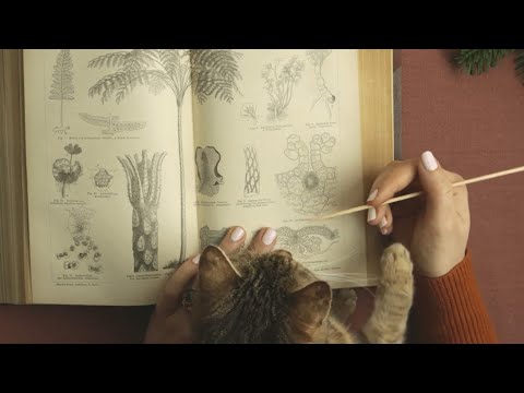 ASMR with Cat 🐱 Tracing Maps and Illustrations in a Lexicon from 1878 (soft spoken)