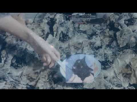 ASMR  含冰ice cubes，少量口腔音MOUTH SOUNDS
