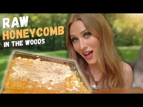 ASMR Mukbang | Eating Raw Golden Honeycomb in the Woods 🍯🌲