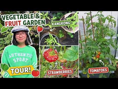 ASMR Fruit & Vegetable Garden Tour 🥬🍅 Nature Sounds, No Talking