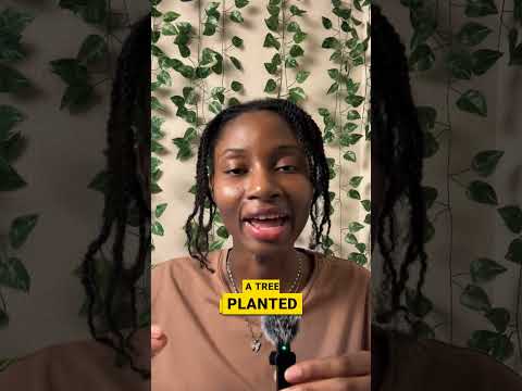 How to Stay Rooted in God’s Word  #wordsoflifewithkay #christianinspiration #motivation