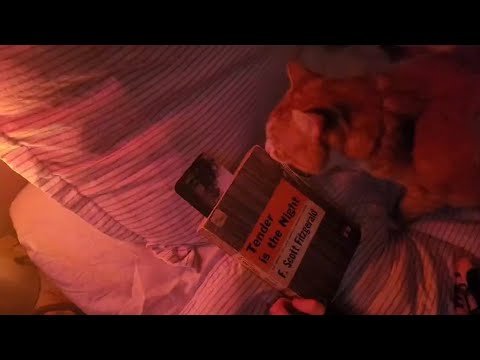lofi asmr reading from tender is the night by f. scott fitzgerald 
