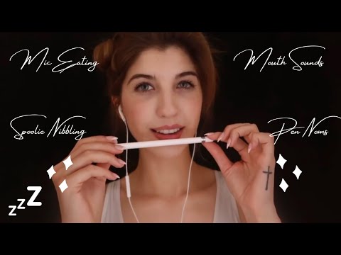 Frivolous Fox ASMR 1 Hour Nibbling Part 2 Compilation | Intense Mouth Sounds, Mic Nibbling, Pen Noms