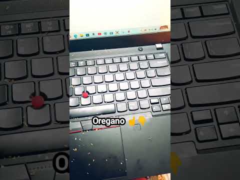 WHAT is on my Laptop?!?!