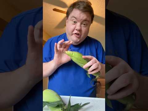 ASMR SHUCKING AND EATING DELICIOUS CORN! 🌽 #asmr #asmreating #corn