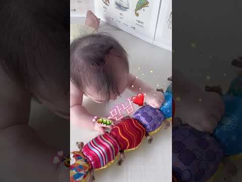 배밀이 맹연습