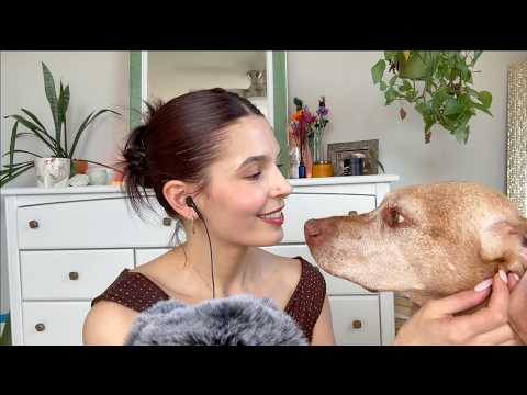 ASMR calm your anxiety 💐