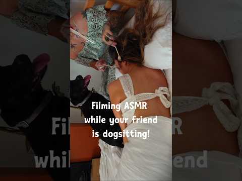 trying to film ASMR with a doggy #asmr #outtakes #bts #funny #cutedog