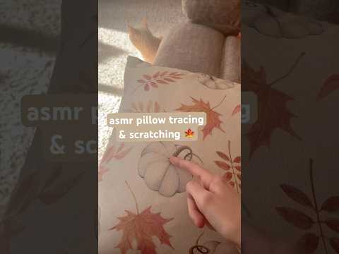 asmr pillow sounds 🍁 #tracing #scratching #lofi
