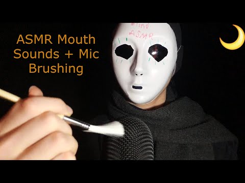 ASMR MIC BRUSHING WITH MOUTH SOUNDS - BLIND ASMR