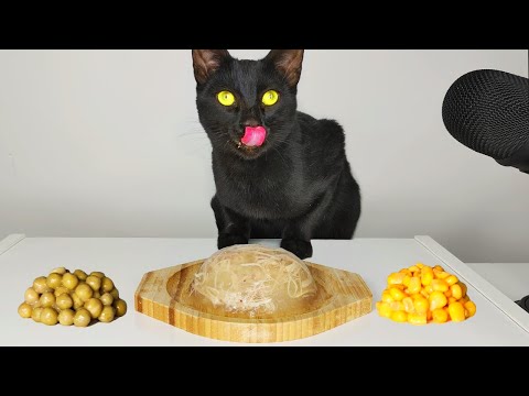 CAT EATING JELLIED CHICKEN, GREEN PEAS & CORN ASMR MUKBANG