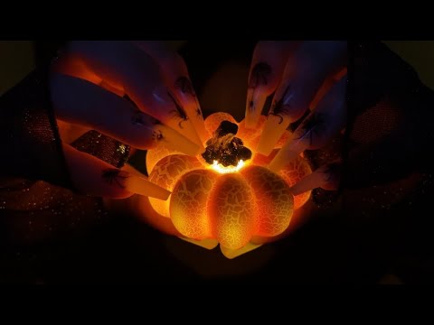 fast not aggressive tapping for asmr #31 (no talking)