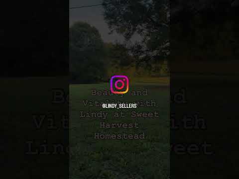 🌿 Relax on the Porch | Southern Lady ASMR