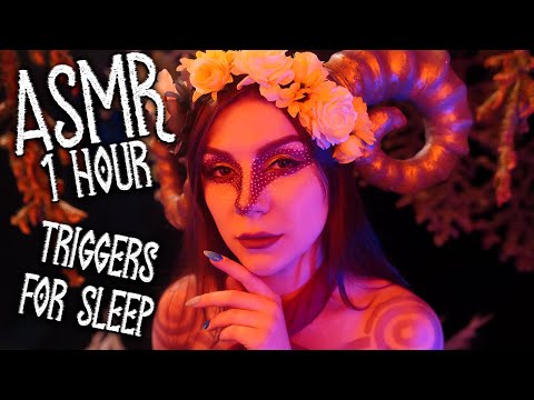 ASMR 1 Hour Triggers for Sleep 💎 Ear Massage, Tk Tk, Hand Sounds, Mic Brushing, Visual Triggers