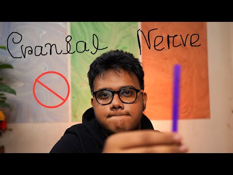 ASMR Cranial Nerve Exam But Everything is Wrong with You