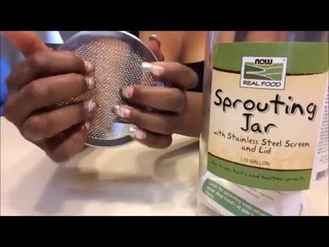 ASMR Tapping and scratching My New Sprouting Jar - Vegan Inspired