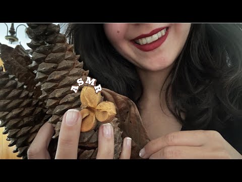 ASMR FR | Bruits d'automne [Chuchotements, tapping, scratching ...] 🍁🍂