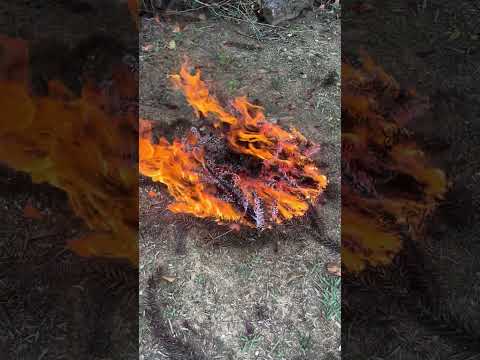 Asmr na chácara #asmr #relax #visualtingle #tingles #nature #shorts