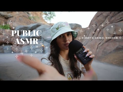 Public ASMR at Disney's Animal Kingdom Theme Park 🐭🦒