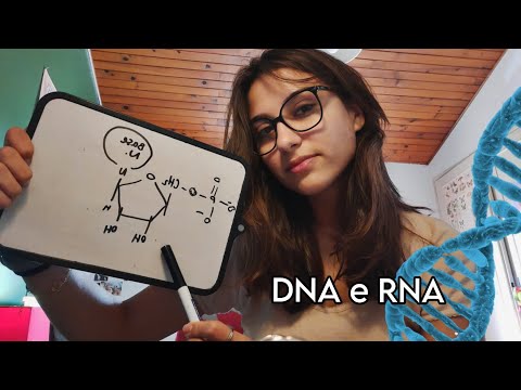ASMR BIOQUÍMICA BASICA: ÁCIDOS NUCLEICOS 🧬💕