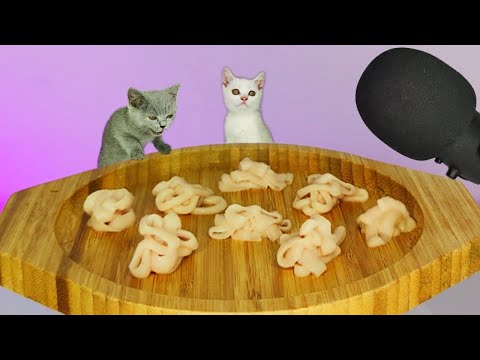 Cats Eating Creamy Treats ASMR