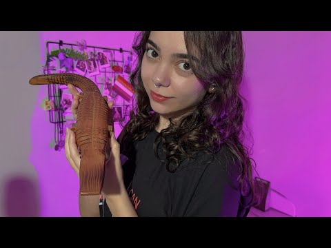 ASMR | Esses gatilhos vão te fazer dormir