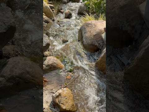 ASMR Water Flowing #ASMR #Shorts