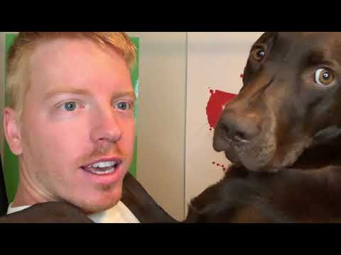 Watch Gus Grow Through All The Puppy ASMR Videos