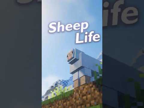 The Life of a Minecraft Sheep 🐑 #minecraft  #asmr