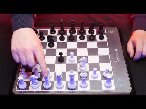 A Brand New Way To Study Chess ♔ ASMR ♔ Paul Morphy vs Adolph Anderssen