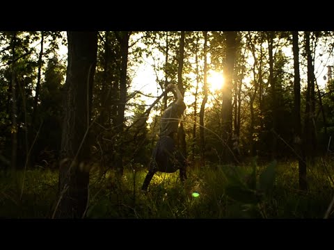 nature ASMR - 👣 barefoot forest trip 🌲+ deer