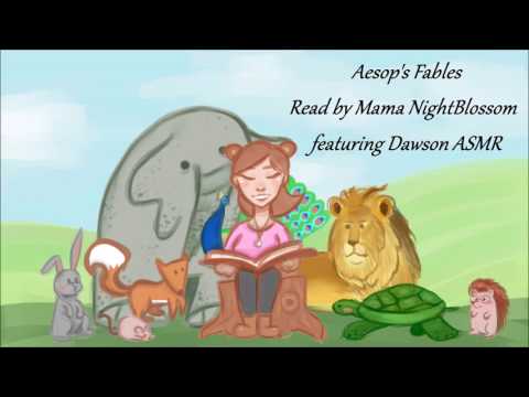 ASMR Storytelling Aesop's Fables featuring Mama NightBlossom