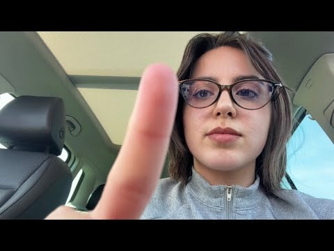 asmr youre a bee in my car (i kill you)