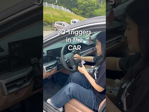 30 Triggers in the CAR 🚘 #asmr