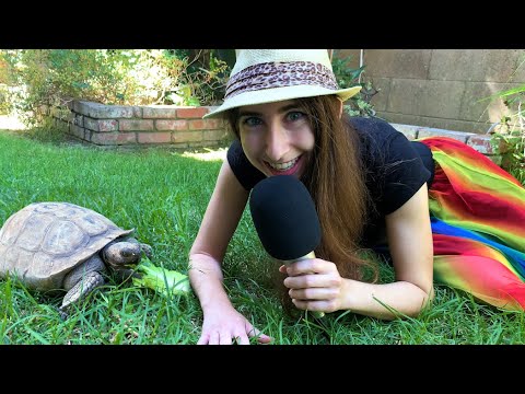 ASMR With A Tortoise